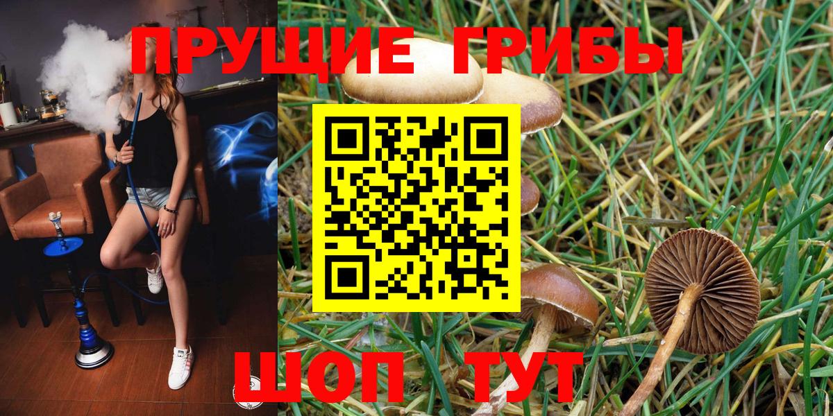 Партизанск  Псилоцибиновые грибы прущие грибы  Вход с VPN 