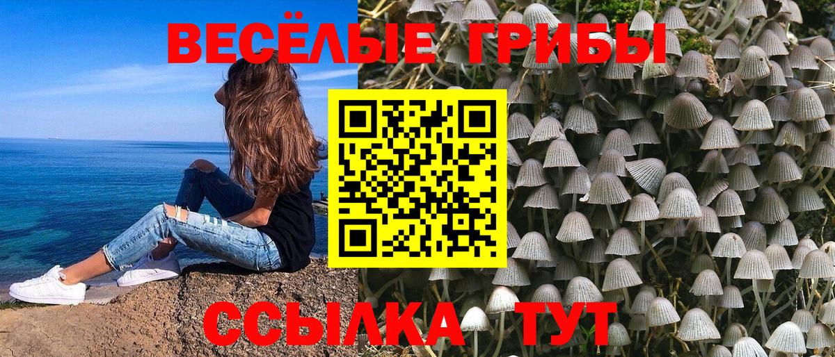 Псилоцибиновые грибы мицелий Партизанск